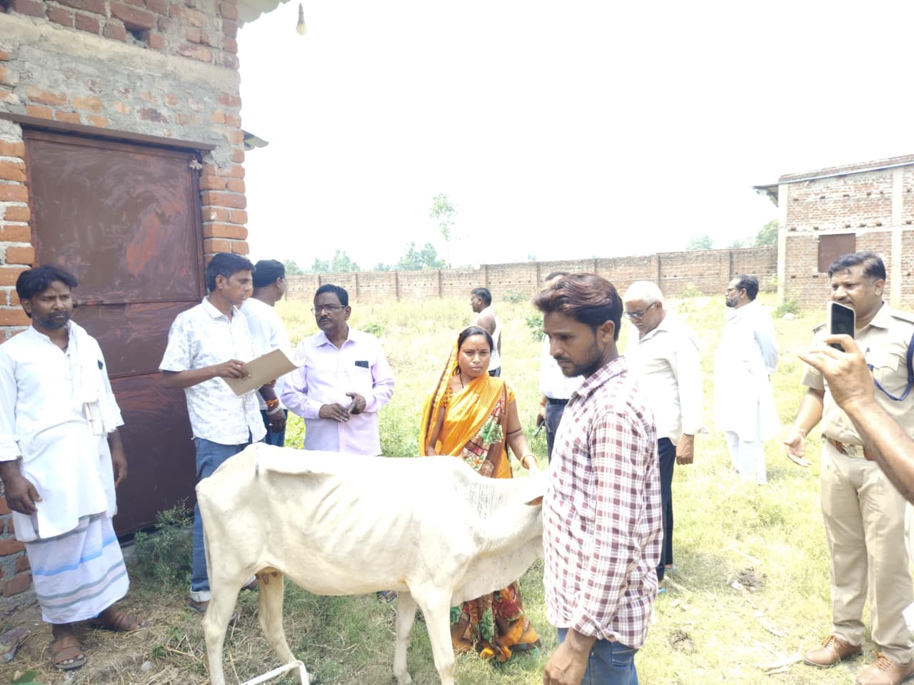 टुंडी में अवैध पशु तस्करी के बड़े नेटवर्क का भंडाफोड़, कंक्रीट की बाउंड्री में कैद मिले मवेशी