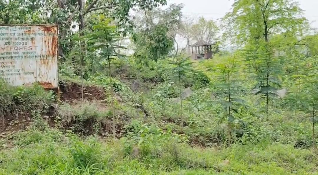 दामोदरपुर नगर वन बना असामाजिक तत्वों का अड्डा, 4 साल बाद भी अधूरा प्रोजेक्ट