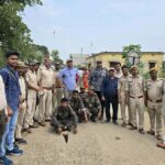 बोकारो वन विभाग की बड़ी कार्रवाई, अवैध लकड़ी तस्करी के नेटवर्क का भंडाफोड़