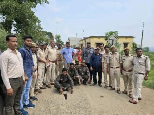 बोकारो वन विभाग की बड़ी कार्रवाई, अवैध लकड़ी तस्करी के नेटवर्क का भंडाफोड़