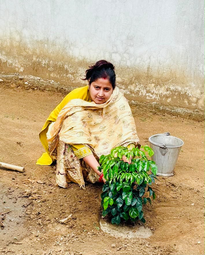 झरिया में विधायक रागिनी सिंह ने लगाया पौधा, पर्यावरण संरक्षण का किया आह्वान