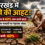 झारखंड में सूखे की आहट, सामान्य से 60% कम बारिश; खरीफ फसलों पर मंडराया संकट