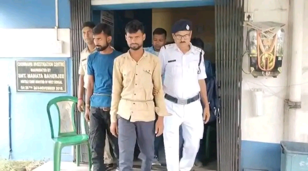 डुबडी चेकपोस्ट पर 15 भैंसों से भरा ट्रक जब्त, दो आरोपी गिरफ्तार; अवैध पशु परिवहन की जांच तेज