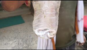 bhagalpur पिता को सांप ने काटा तो बेटे ने जिंदा सांप को बोतल में बंद कर पहुंचाया अस्पताल, देखने उमड़ी भीड़