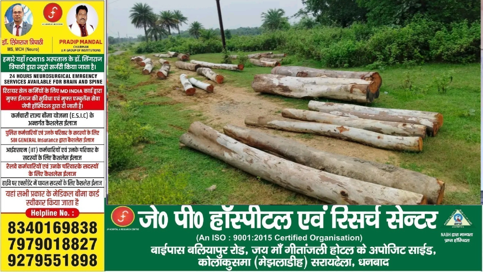 चंदनकियारी में हरे पेड़ों की कथित अवैध कटाई से हड़कंप, वन विभाग की भूमिका पर उठे सवाल