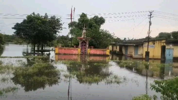 Dhanbad:गोल्डन पहाड़ी के नीचे जलभराव, 70 मवेशियों समेत लोग पानी में फंसे