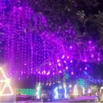 धनबाद में 1.2 किलोमीटर तक रंग-बिरंगी रोशनी से सजी सर्कुलर रोड, हावड़ा ब्रिज और जगन्नाथ रथ की दिखी झलक